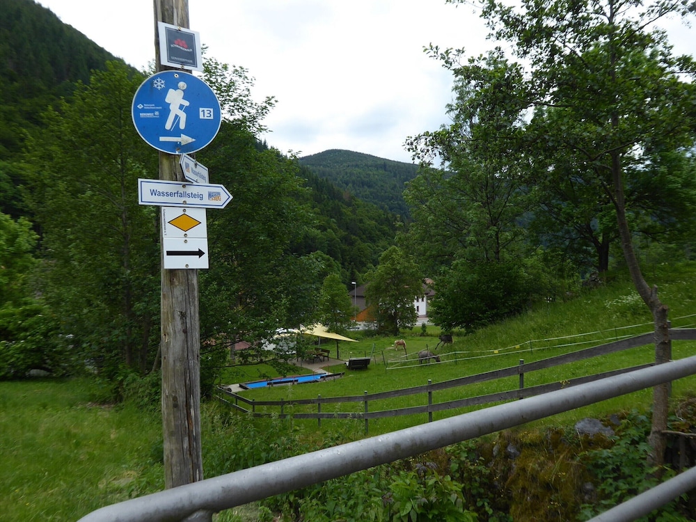 Photo 23