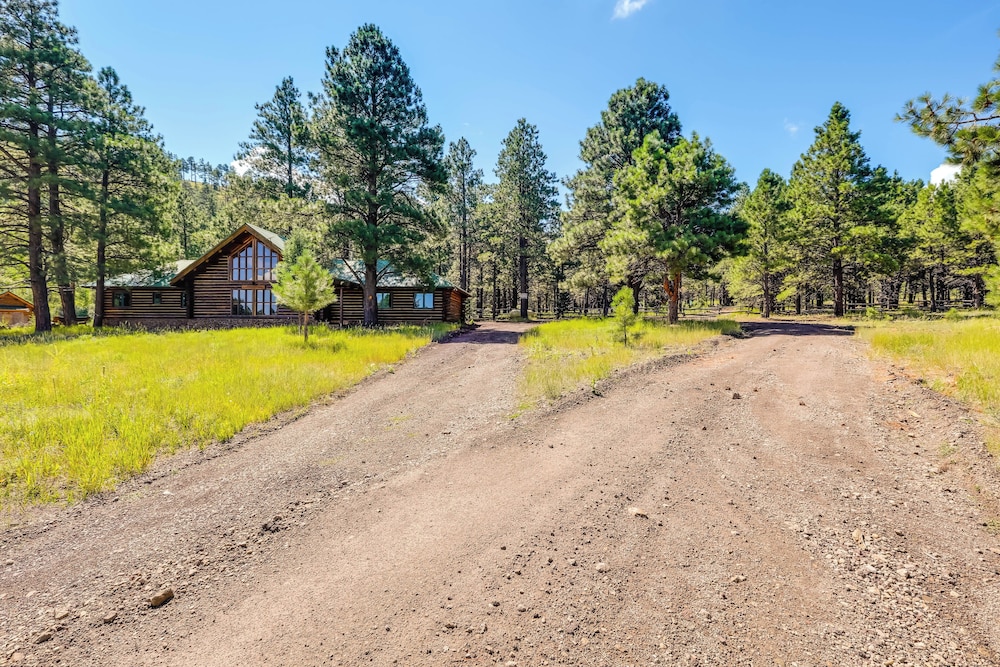 Forested Flagstaff Cabin ~ 23 Mi From Downtown view 3