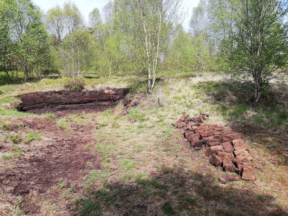 Picture-perfect Holiday Home in Sourbrodt With Garden, BBQ