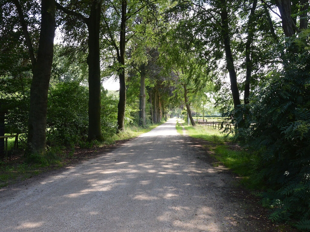 Cozy Holiday Home in Zelhem near Forest view 3