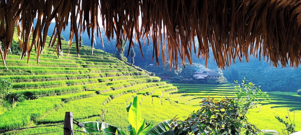 Ban Lien Homestay