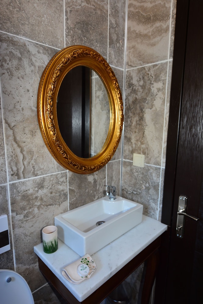 Hayriye Hanim Ege - Image 11