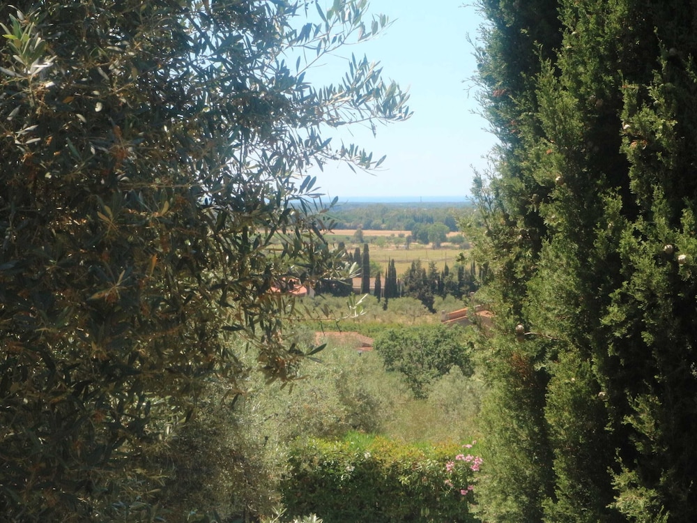 Photo 29