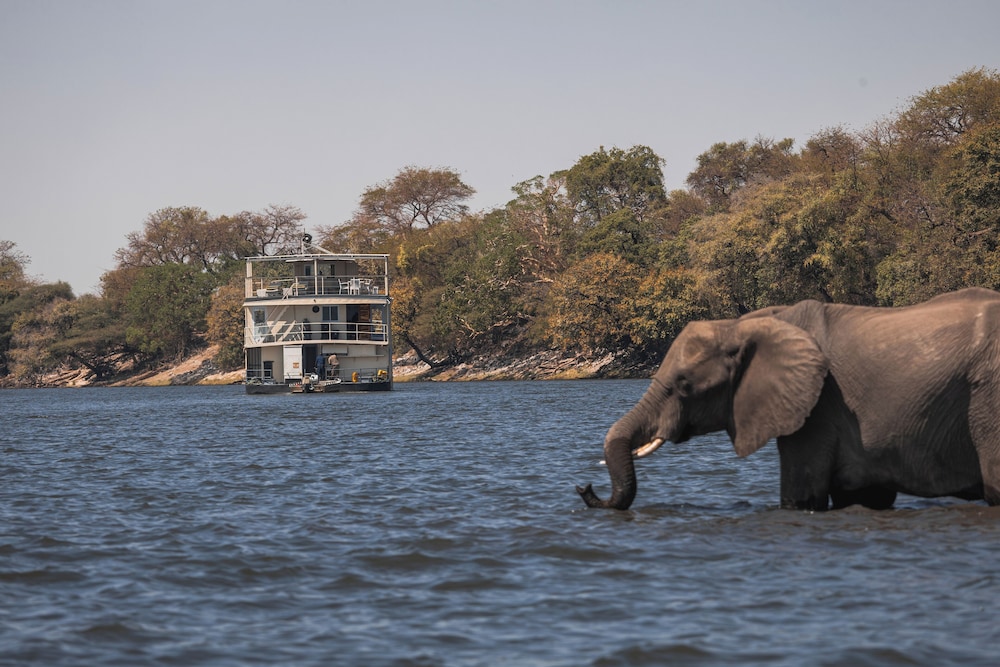 Chobe Princess By Mantis