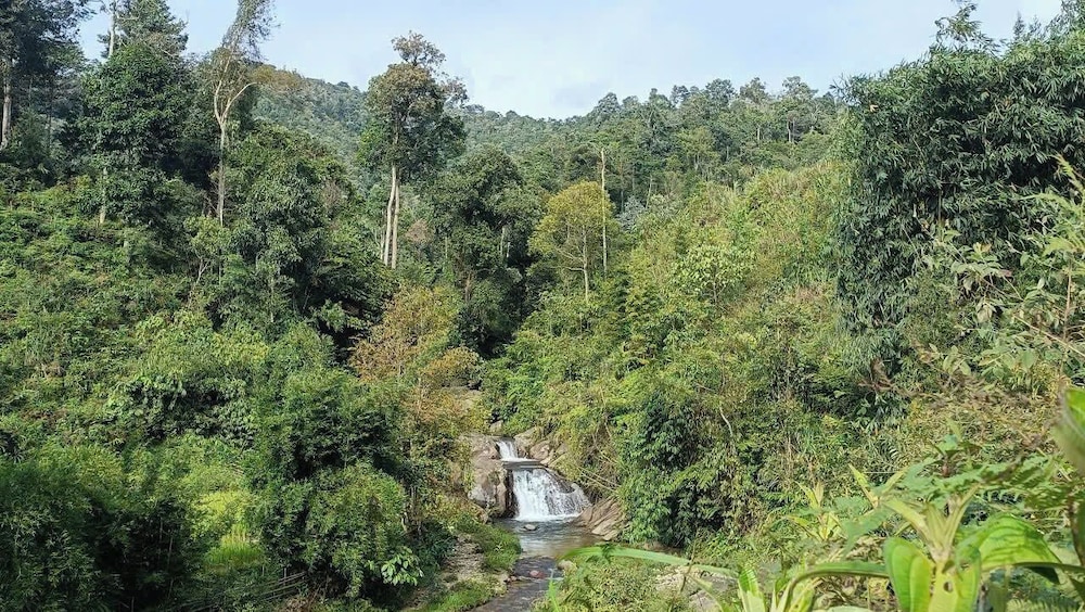 Ban Lien Homestay