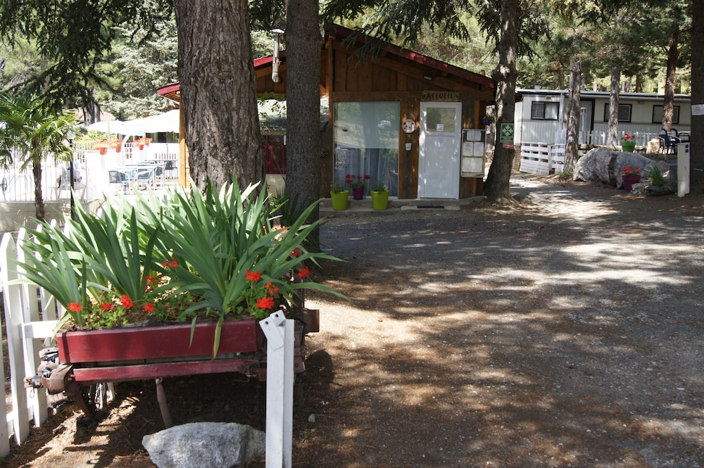 Photo 46
