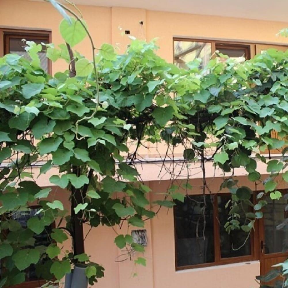 V Gostyah U Julii Guest House
