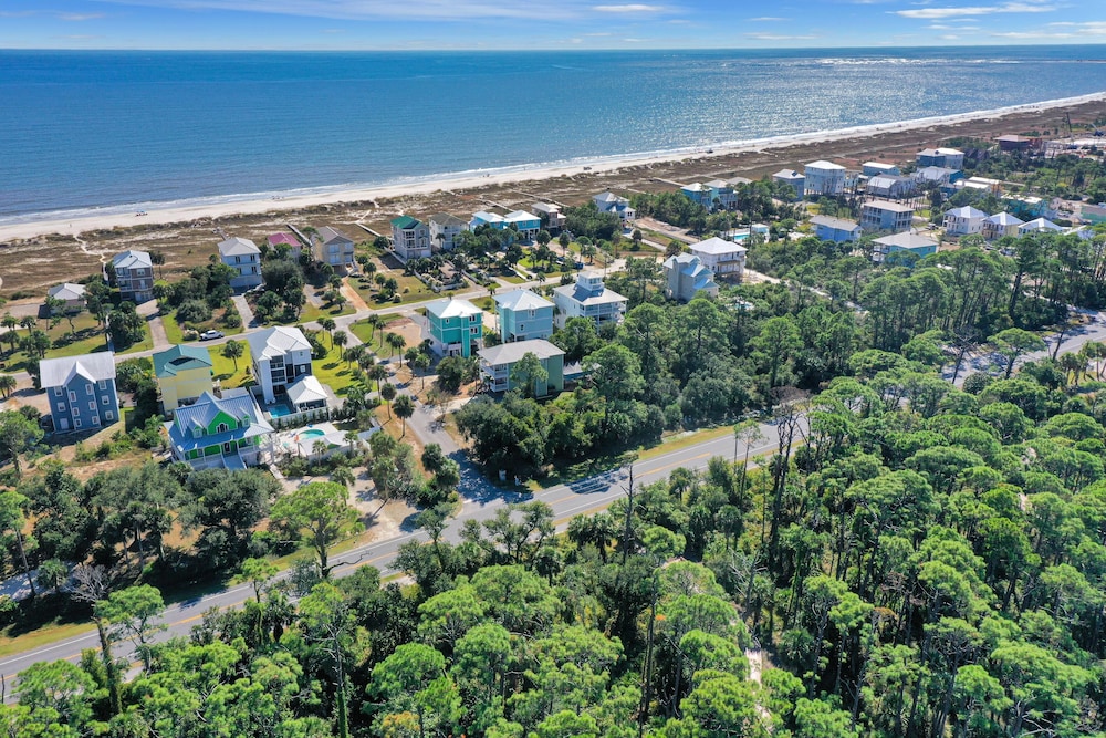 Cape Palms