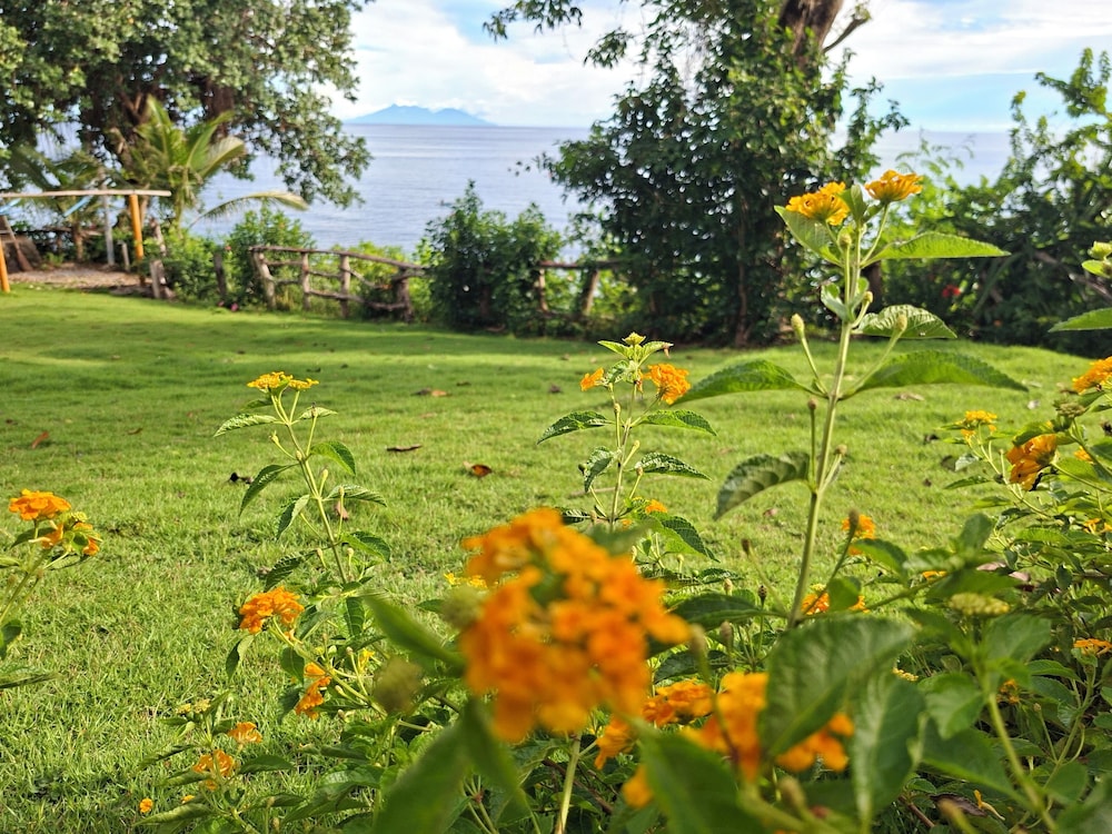 Bohol-Lahoy Dive & Beach Resort