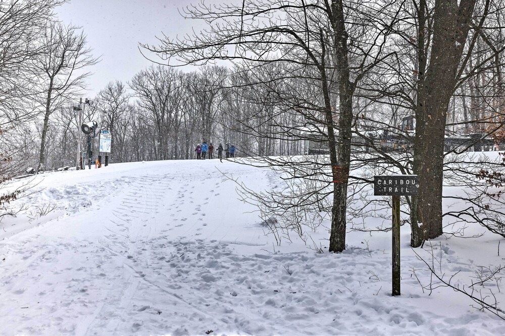 Access to Jack Frost Ski Resort: Home w/ Hot Tub