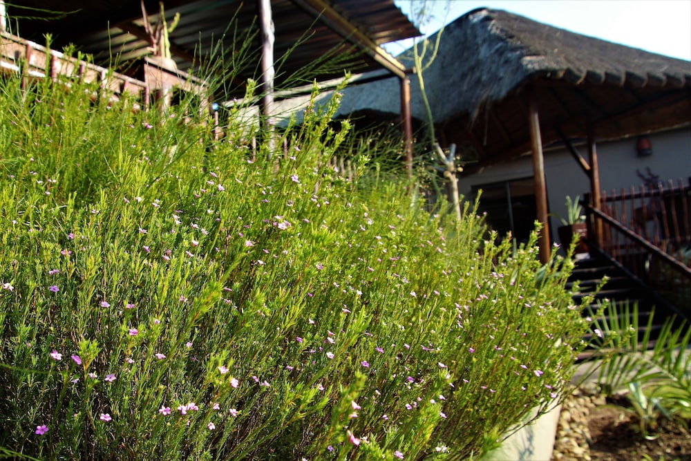 Saba Airport Lodge