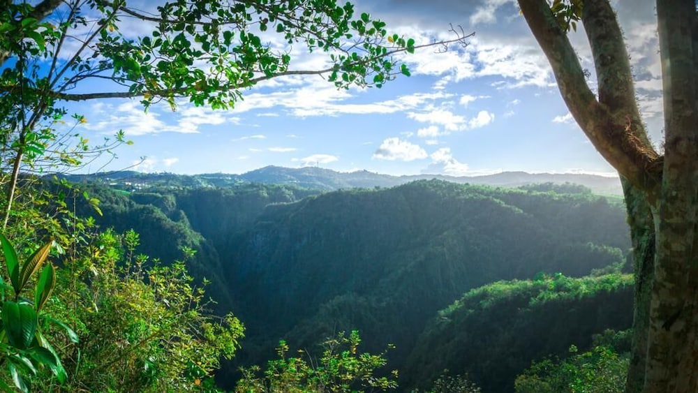 Canyon Boutique Hotel