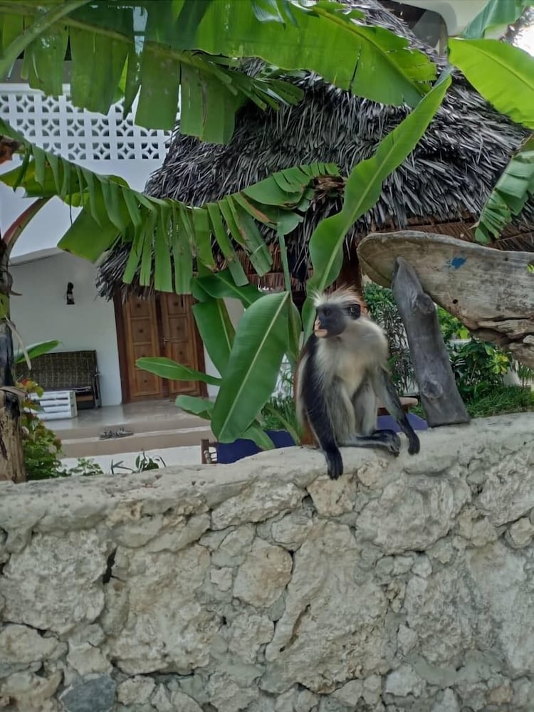 Furaha Lodge
