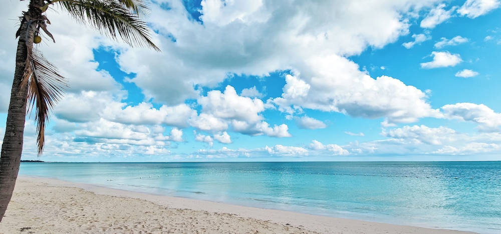 NEW Stunning Beachfront Condo at the Coral Beach