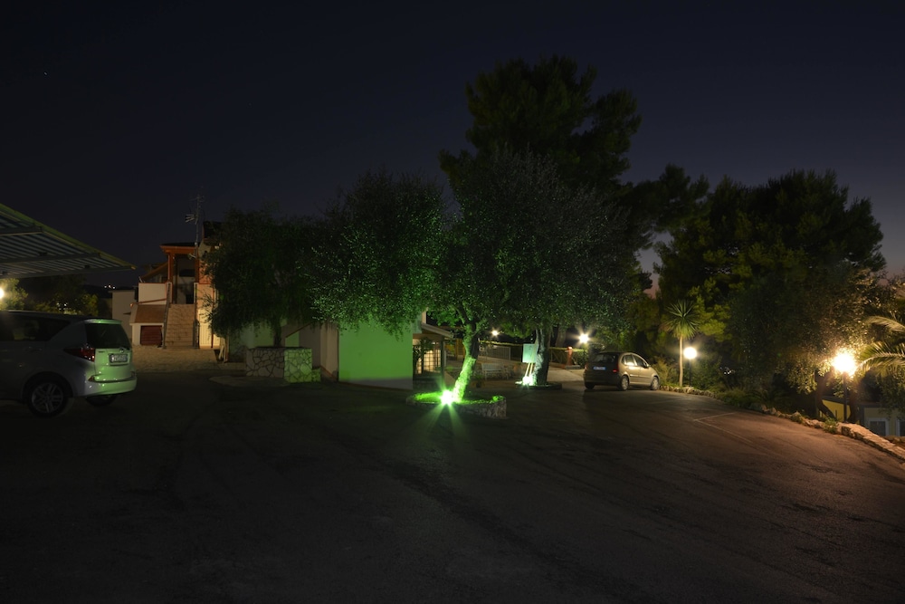 Photo 29