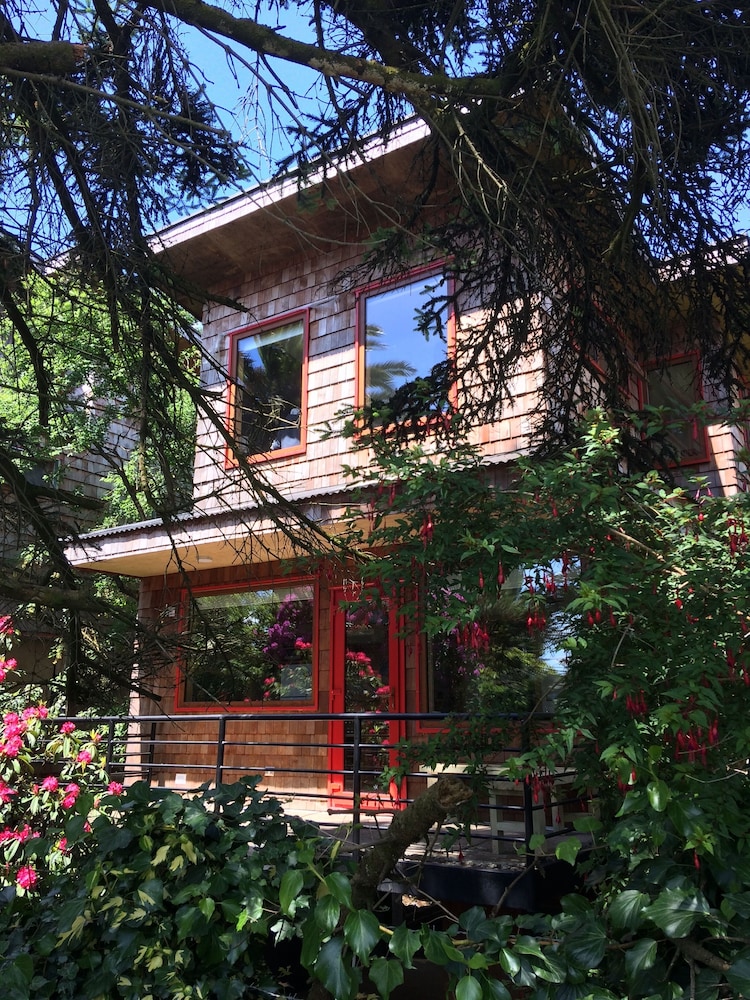 Hotel Cabanas Alma Bosque - Image 1