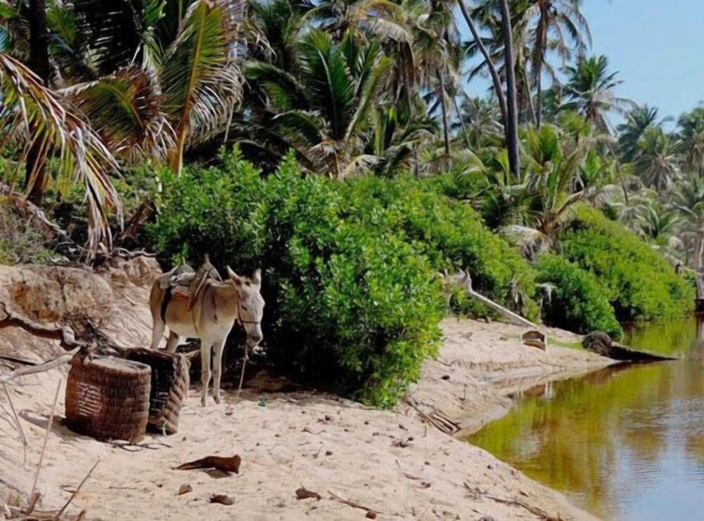 Pousada Praia de Santo Antônio