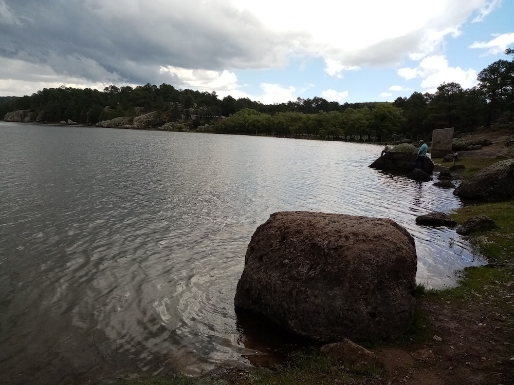 Photo 42