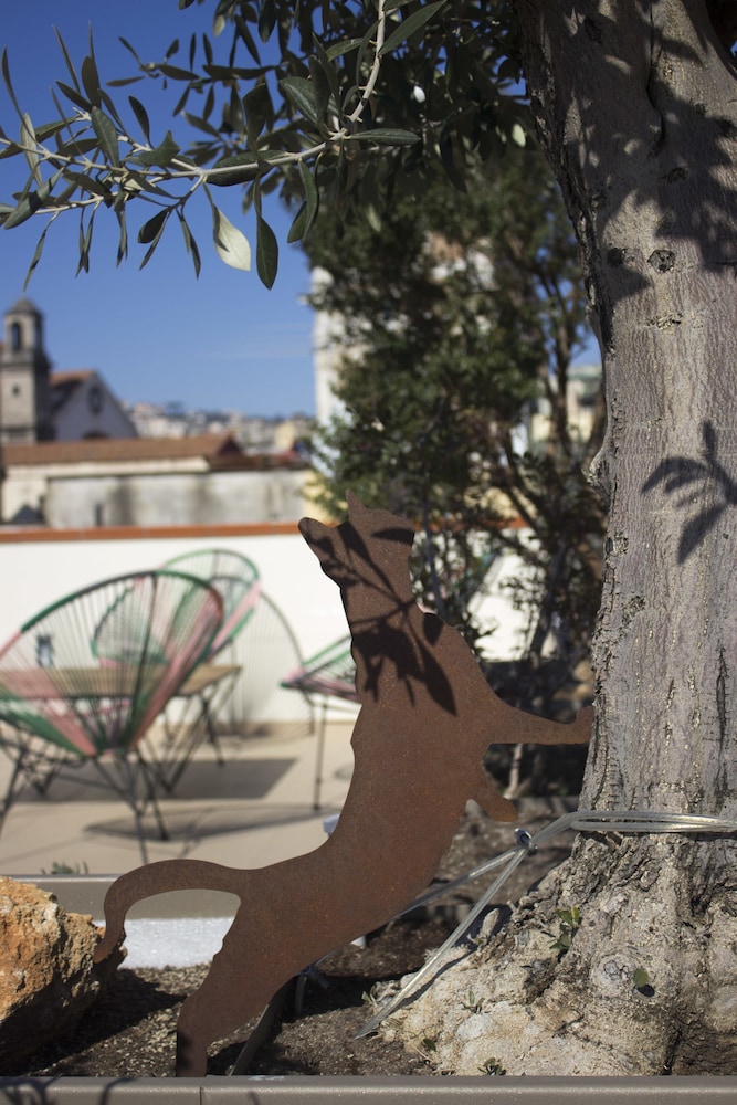 Schiara guest house