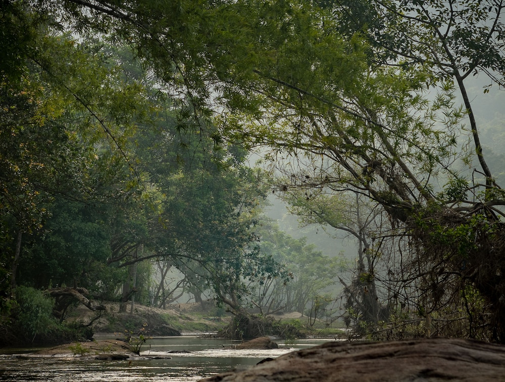 Quiet by the River