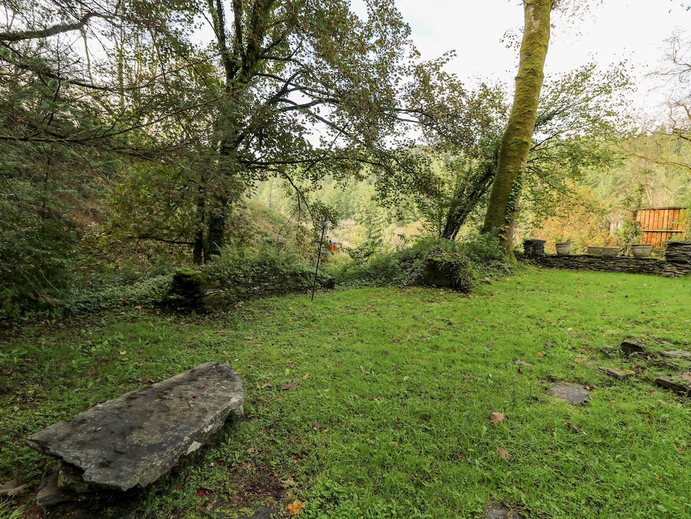 Plyg-y-rhiw