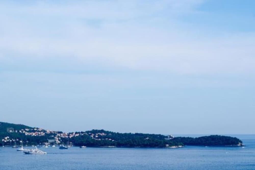Apartments Olive - One Bedroom Apartment With Terrace and Partial Sea View - Popolica 50 view 3