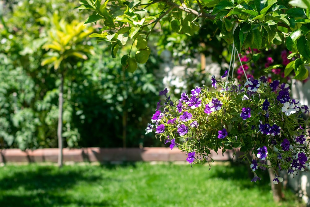 Flores Hotel Alaçatı - Image 15