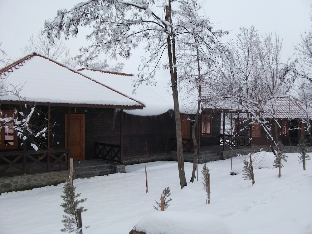 Photo 28