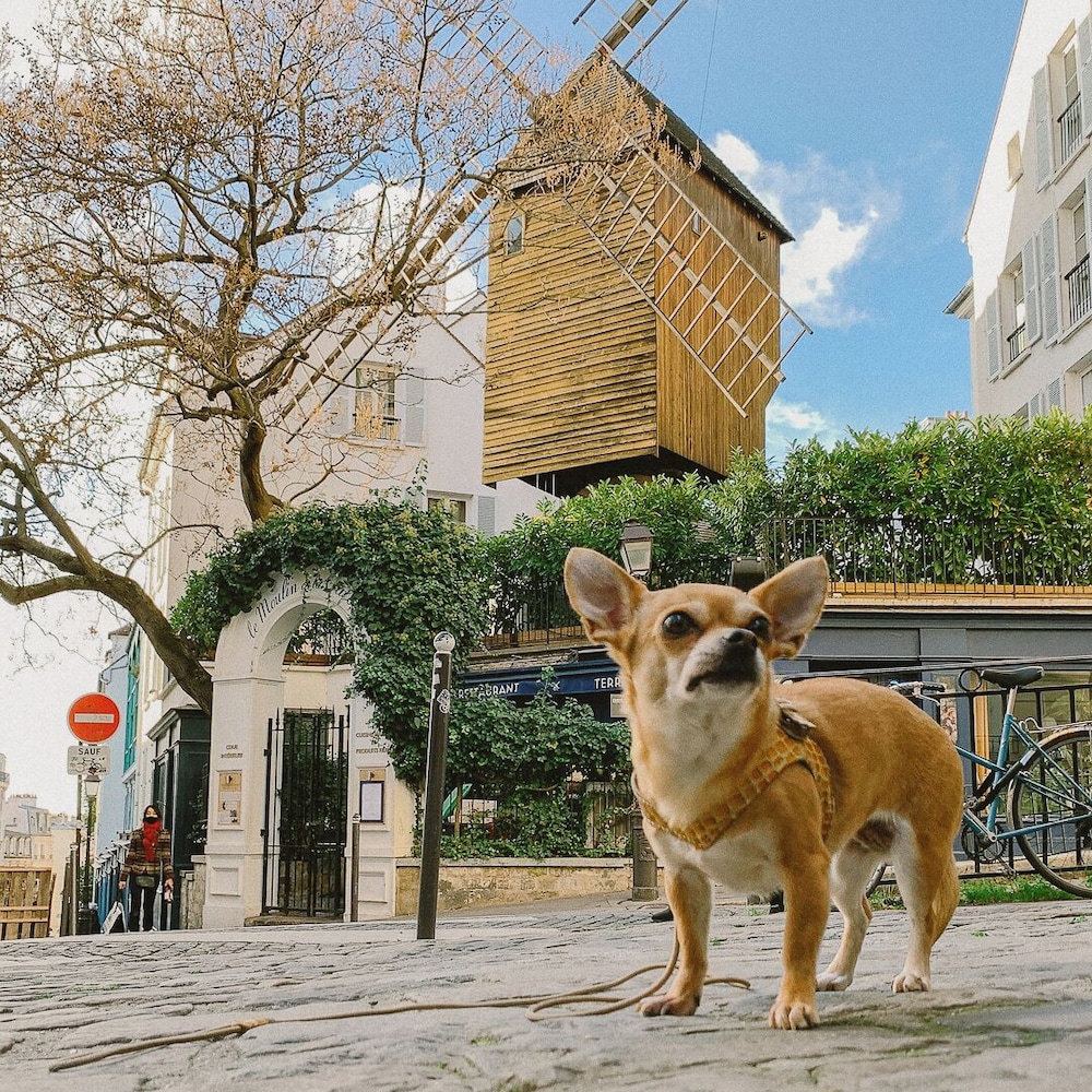 Montmartre Romantic