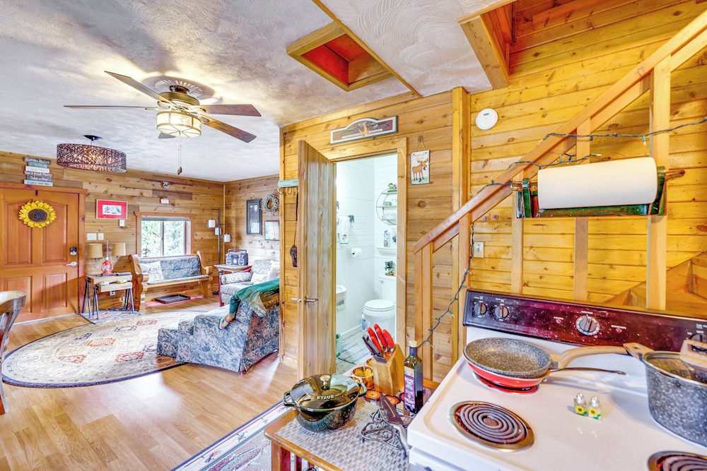 Cabin on Little Salmon River ~ 10 Mi to Riggins!