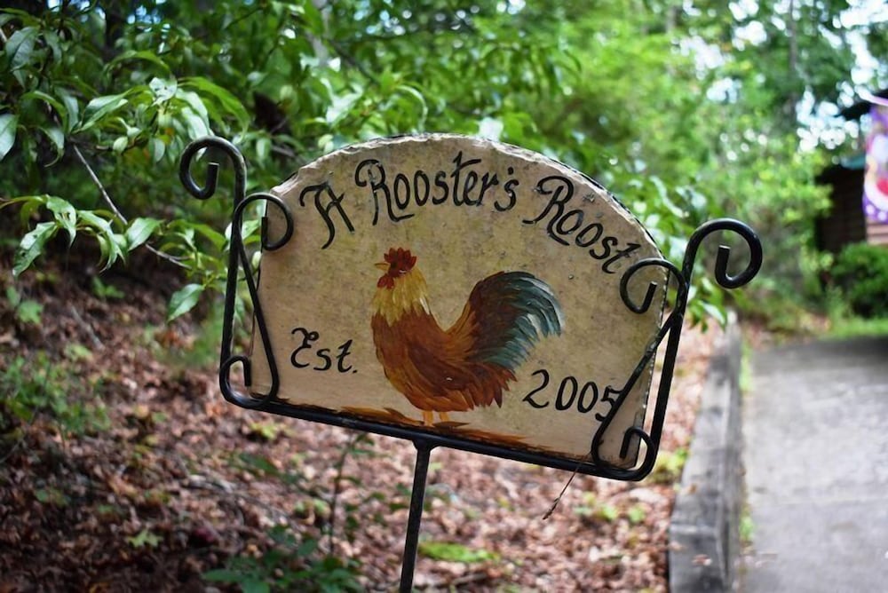 Roosters Roost view 5