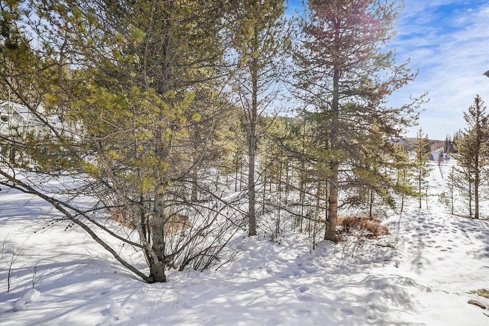The Beaver Lodge At Breckenridge 4 Bedroom Home