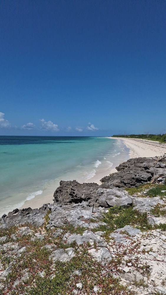 NEW Stunning Beachfront Condo at the Coral Beach