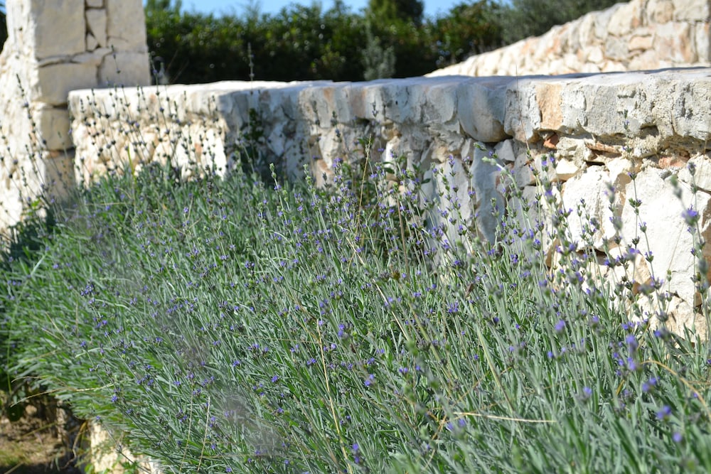 Antica Masseria Timparuci