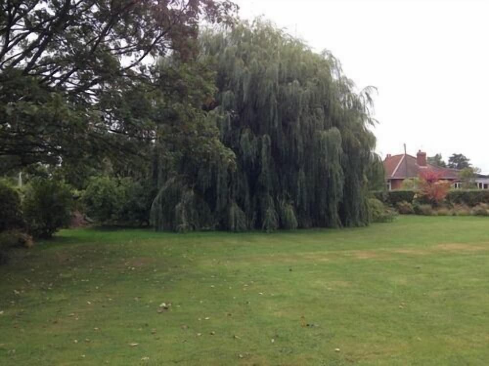Primrose Lodge B&B