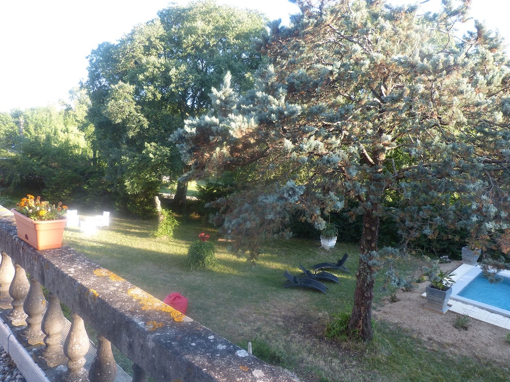 Mas Moïse