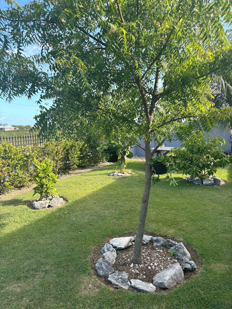 SanAndros Airbnb - Property Image 6