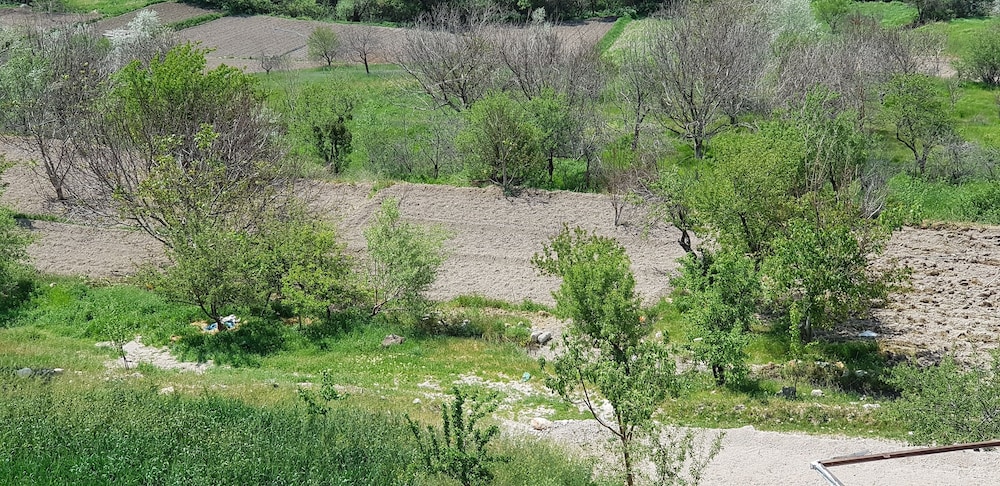 Photo 43