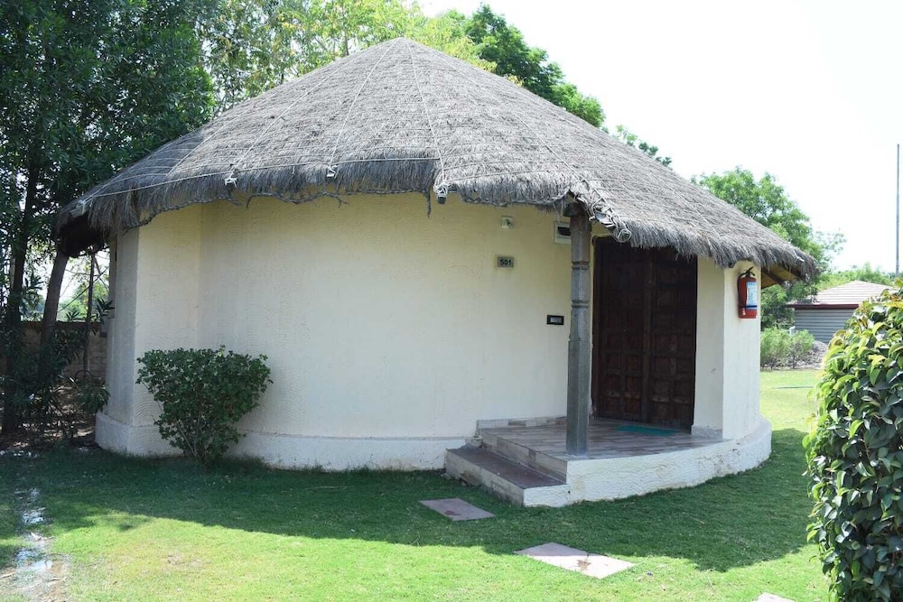 The Desert Den - Little Rann of Kutch view 5