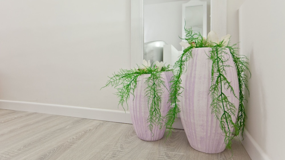 Rental In Rome Colour Colosseum Loft