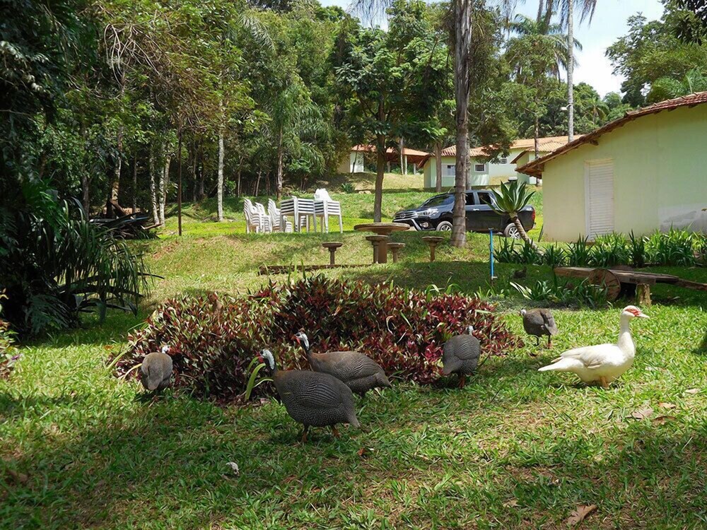 Hotel Encanto da Mata Eco Resort