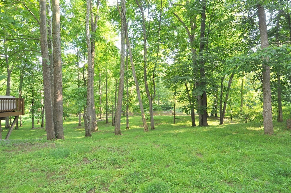Sleepy Creek - Creekside Escape view 5