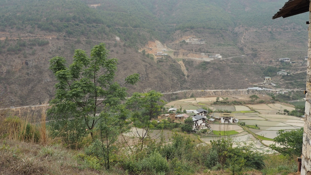 Wangdue EcoLodge