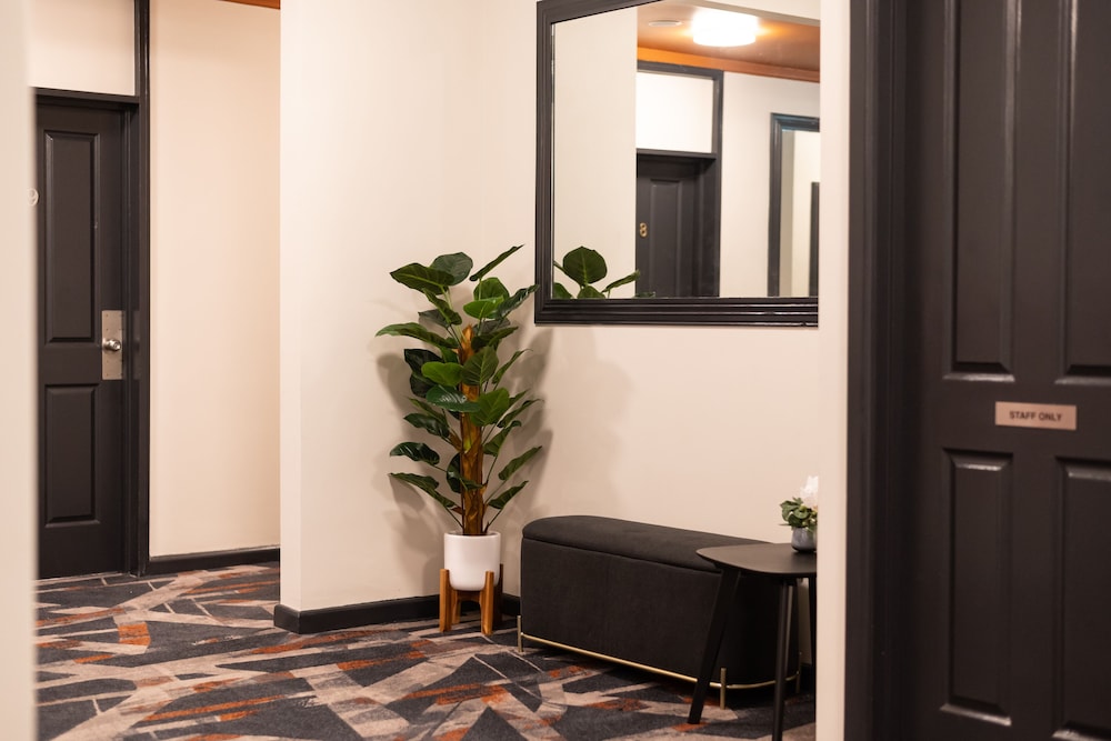Wollongong Vacations - Harp Hotel - Property Image 2