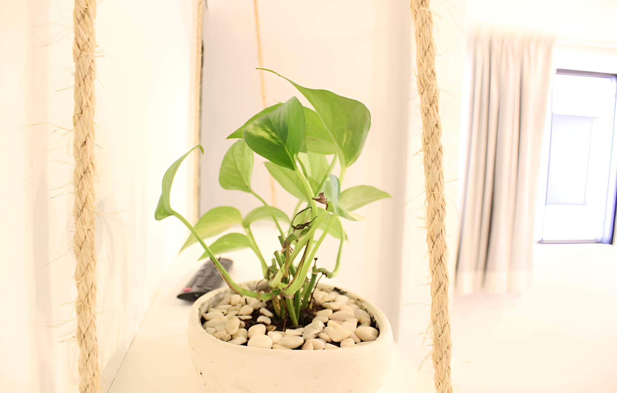 Hotel Nicte Ha Tulum