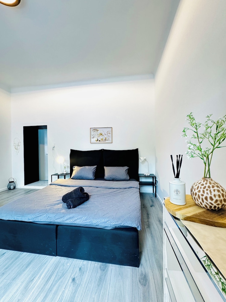 Comfortable 1BR Stay Central Vienna