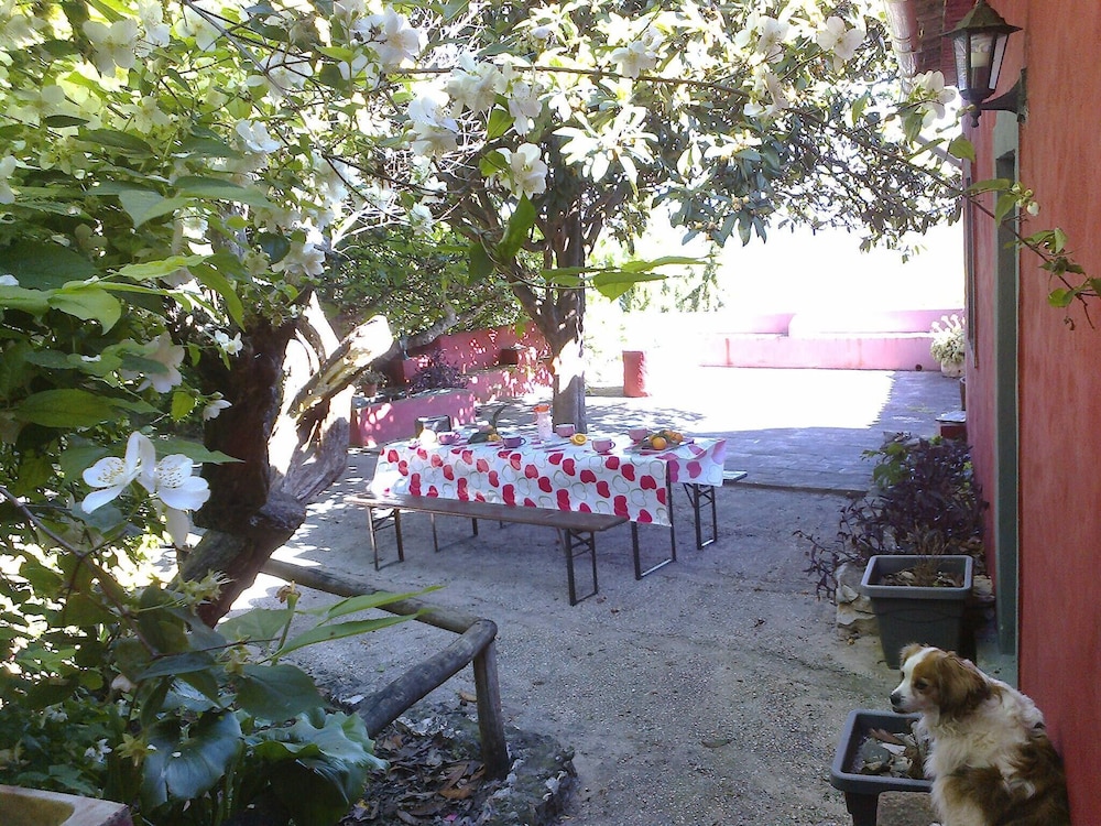 Photo 34