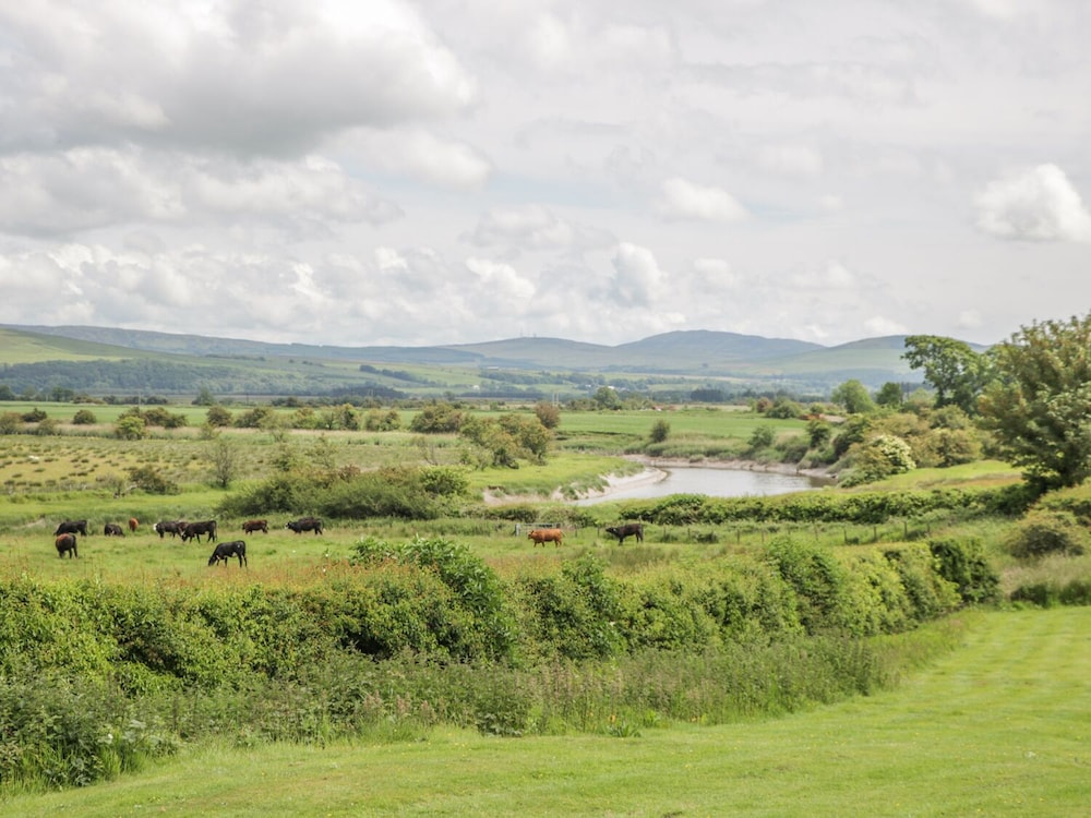 The Dairy