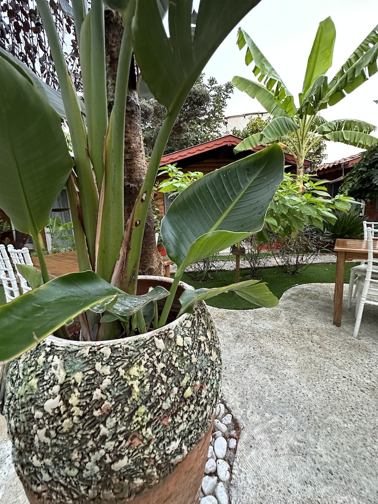 Kayezta Hotel Alacatı - Image 64
