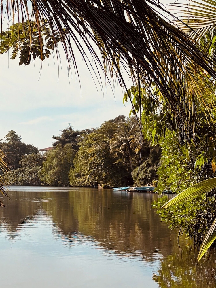 Jungle Breeze